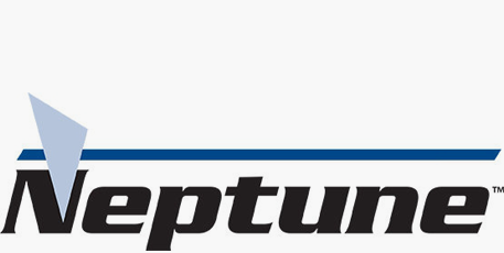 Neptune metering Pumps